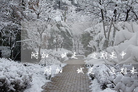 附加稅城建稅逾期未申報(bào)怎么辦-附加稅城建稅逾期未申報(bào)怎么辦理