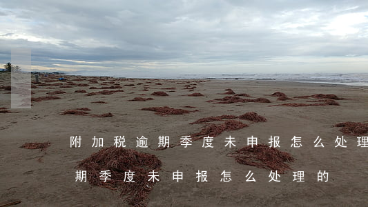 附加税逾期季度未申报怎么处理-附加税逾期季度未申报怎么处理的