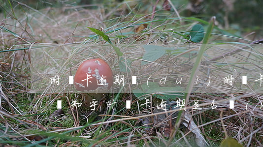 附屬卡逾期對(duì)附屬卡的人有影響嗎知乎，附屬卡逾期：是否會(huì)影響附屬卡持卡人？——知乎上的討論與解答