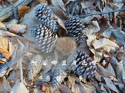 附近哪里有法律事務(wù)所(這里附近有沒有律師事務(wù)所)