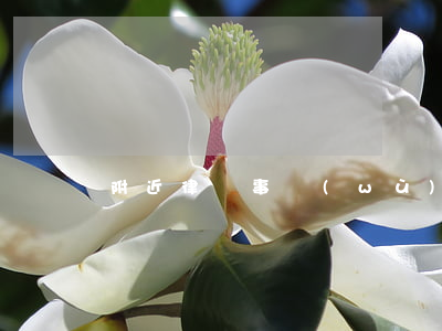 附近律師事務(wù)所哪家好