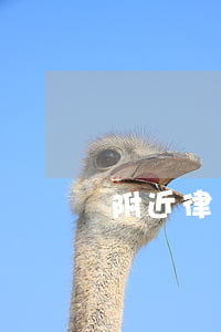附近律師服務(附近哪里有律師事務所免費咨詢)