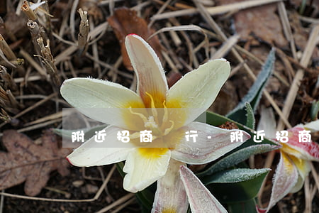 附近招商銀行-附近招商銀行位置最近