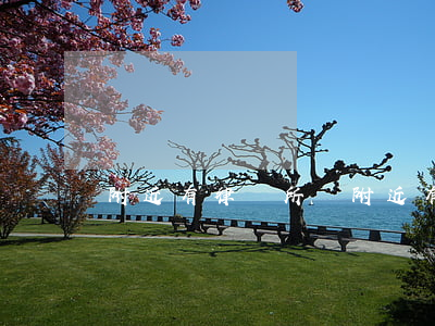 附近有律師所嗎(附近有律師所嗎里河新村)
