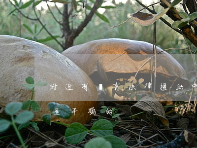 附近有沒有法律援助中心(地方法律援助中心是干嘛的)