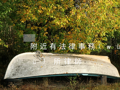 附近有法律事務(wù)所嗎(附近事務(wù)所律師)