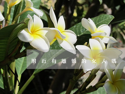 附近有離婚的女人嗎