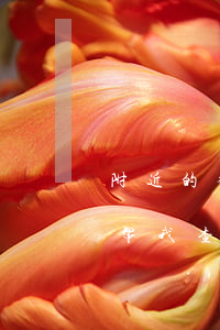 附近的律师事务所(附近的律师事务所在哪里帮我查一下)