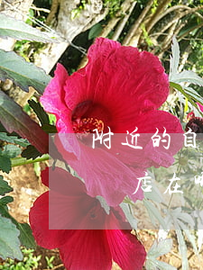 附近的自助餐火鍋店在哪里(附近的自助餐火鍋店在哪里)