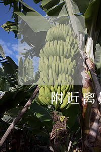 附近离婚丧偶女人征婚(附近征婚征婚启事女)