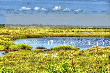 附近處理網(wǎng)貸的律師事務(wù)所(律師咨詢(xún)網(wǎng)貸)