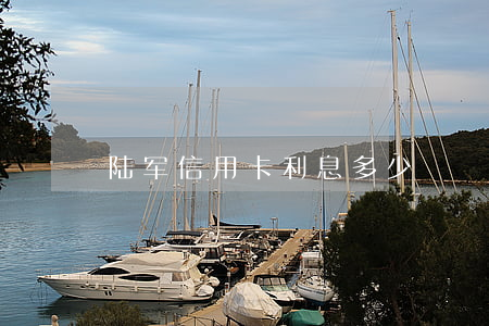 陆军信用卡利息多少