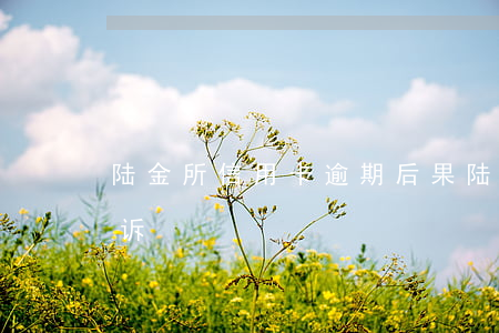 陆金所信用卡逾期后果(陆金服逾期多久会起诉)