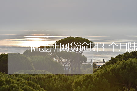 陆金所网贷逾期3个月(陆金所网贷退出方案)