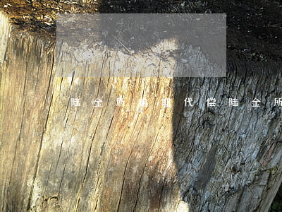 陆金所逾期代偿(陆金所回款正常吗)