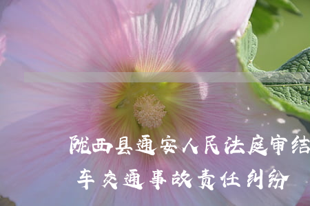 陇西县通安人民法庭审结两起驾校学员机动车交通事故责任纠纷