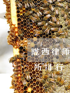 陇西律师事务所排名(甘肃陇南武都律师事务所排行)