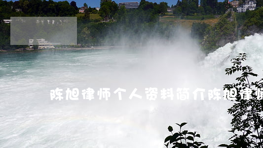 陈旭律师个人资料简介(陈旭律师免费咨询)