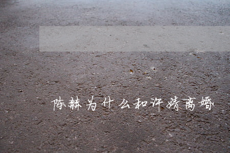 陈赫为什么和许婧离婚