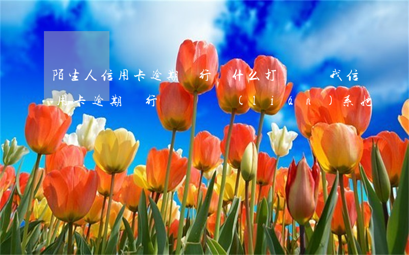 陌生人信用卡逾期銀行為什么打電話給我（信用卡逾期銀行讓親屬聯(lián)系她）