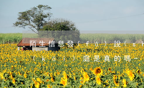 陌生信息發(fā)說(shuō)逾期開(kāi)庭是真的嗎-陌生短信說(shuō)我欠款逾期