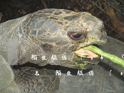 陌生短信說(shuō)信用卡逾期加入黑名單(陌生短信說(shuō)信用卡逾期加入黑名單了)