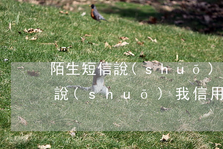 陌生短信說(shuō)信用卡逾期(有短信說(shuō)我信用卡逾期)