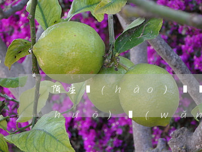 陌生號(hào)碼來(lái)電說(shuō)網(wǎng)貸逾期(網(wǎng)貸逾期打電話)