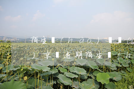 陌生號(hào)碼發(fā)來(lái)京東逾期（陌生號(hào)碼發(fā)來(lái)京東逾期）