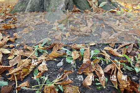 陌生號(hào)碼發(fā)短信說(shuō)信用卡逾期-陌生號(hào)碼發(fā)短信說(shuō)信用卡逾期一天