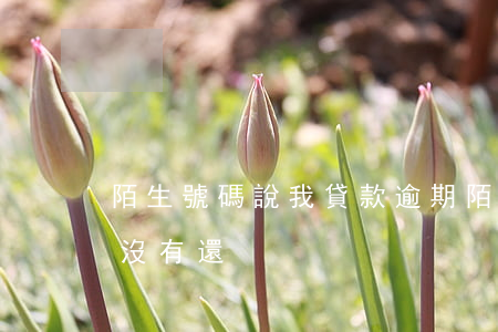 陌生號碼說我貸款逾期(陌生號碼說你有貸款沒有還)