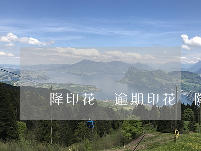 降印花稅逾期(印花稅降稅政策)