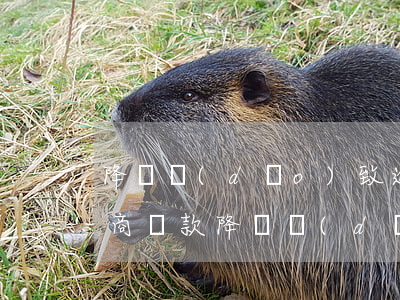 降額導(dǎo)致逾期可以協(xié)商還款 降額導(dǎo)致全面逾期