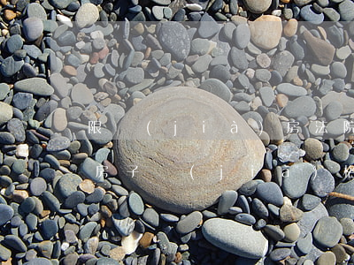 限價(jià)房法院拍賣可以嗎(法院拍賣房子,價(jià)格低,不同意拍賣可以嗎)