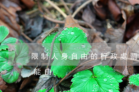 限制人身自由的行政處罰權(quán)只能由