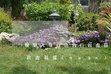 限制人身自由的行政處罰(限制人身自由的行政處罰權(quán)只能由公安機(jī)關(guān)行使)