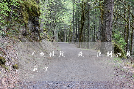 限制性股權激勵(限制性股權激勵是利好還是利空)
