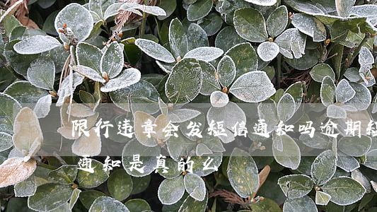 限行违章会发短信通知吗?（逾期短信发来限行通知是真的么）