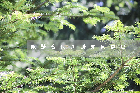 限購合同糾紛如何處理