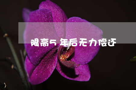 限高5年后无力偿还