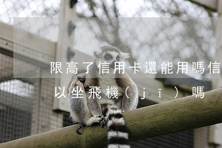 限高了信用卡還能用嗎（信用卡逾期限高令可以坐飛機(jī)嗎）