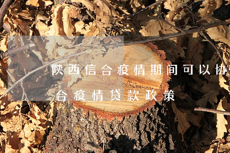 陕西信合疫情期间可以协商还款吗-陕西信合疫情贷款政策
