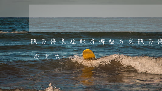 陕西停息挂账有哪些方式(陕西停息挂账有哪些方式)