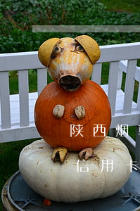 陕西烟草一人欠信用卡不还(陕西烟草一人欠信用卡不还)