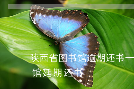 陕西省图书馆逾期还书一天多钱(陕西省图书馆延期还书)