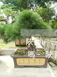 陜西etc逾期會(huì)被列入黑名單嗎-陜西etc逾期會(huì)被列入黑名單嗎知乎