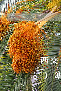 陜西交通事故(陜西交通事故賠償標(biāo)準(zhǔn)2021)