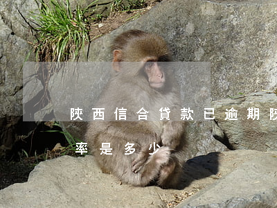 陜西信合貸款已逾期 陜西信合貸款逾期后利率是多少