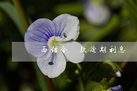 陜西信合貸款逾期利息(陜西信合的貸款黑名單)