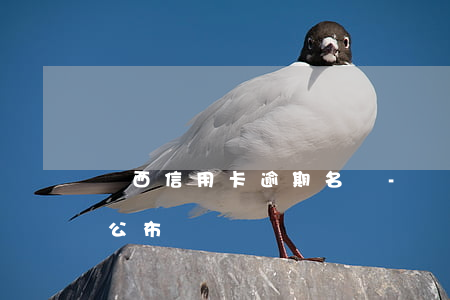 陜西信用卡逾期名單-陜西信用卡逾期名單公布